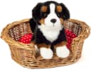 Teddy Hermann Kuscheltier Berner Sennenhund sitzend schwarz/braun/weiß 21 cm Bild 4