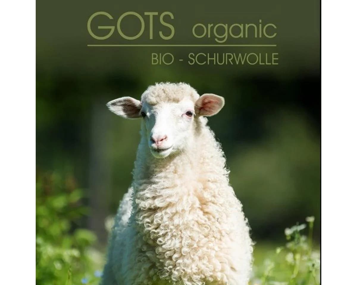 Dormabell Matratzenauflage Bio Merinowolle - Bild 5