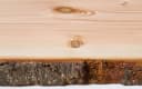 binderholz Regaleinsatz Douglasie Massivholz 120x37 cm unbesäumt Bild 1
