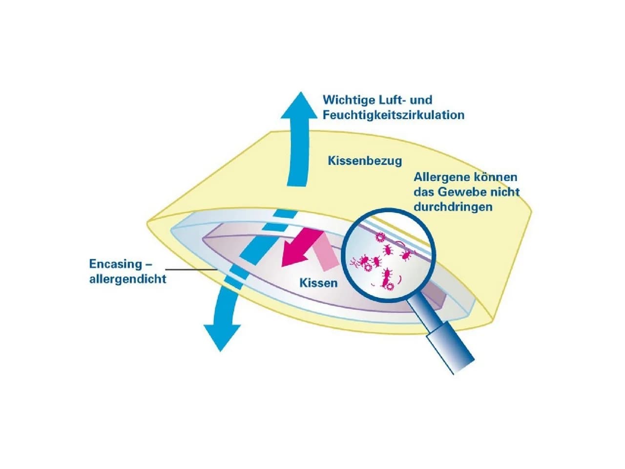 Softsan Encasing Protect Plus Milbenschutzbezug für Kopfkissen Weiß Microfaser - Bild 5