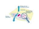 Encasing Protect Plus Softsan Milbenschutzbezug für Kissen Bild 5
