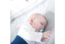ROBA Laufgitter Cosiplay Adam & Eule 6-eckig Natur mit Nestchen Bild 1