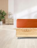 IRISETTE Spannbettlaken Jupiter 8 Orange Mako-Jersey Bild 3