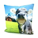 heimtexland Outdoorkissen 45x45 cm Bunt mit Füllung Bild 2