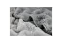 JOOP! Wohndecke SUBLIME Grau Kornblumenmuster Fleece Bild 1