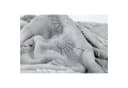 JOOP! Wohndecke SUBLIME Grau Kornblumenmuster Fleece Bild 4