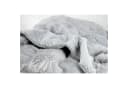 JOOP! Wohndecke SUBLIME Grau Kornblumenmuster Fleece Bild 5