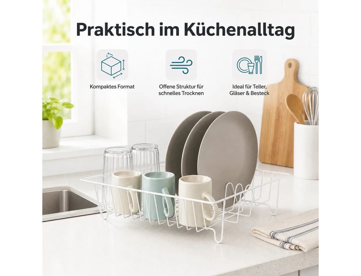 Testrut Geschirrständer Weiß Eisen-Draht