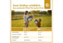 BIECO Steckenpferd Hobby Horse Schimmel Größe M Bild 3