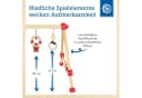 BIECO Baby Gym Spieltrapez Holz Bunt mit Figuren & Kugeln Bild 3