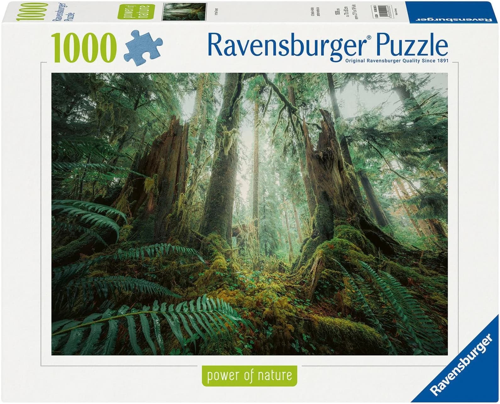 Ravensburger Puzzle Faszinierender Wald 1000 Teile