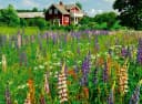 Ravensburger Puzzle Scandinavian Places 500 Teile Bauernhof Schweden Bild 1