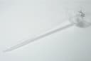 Sandra Rich Teelichthalter aus Glas Transparent Bild 1