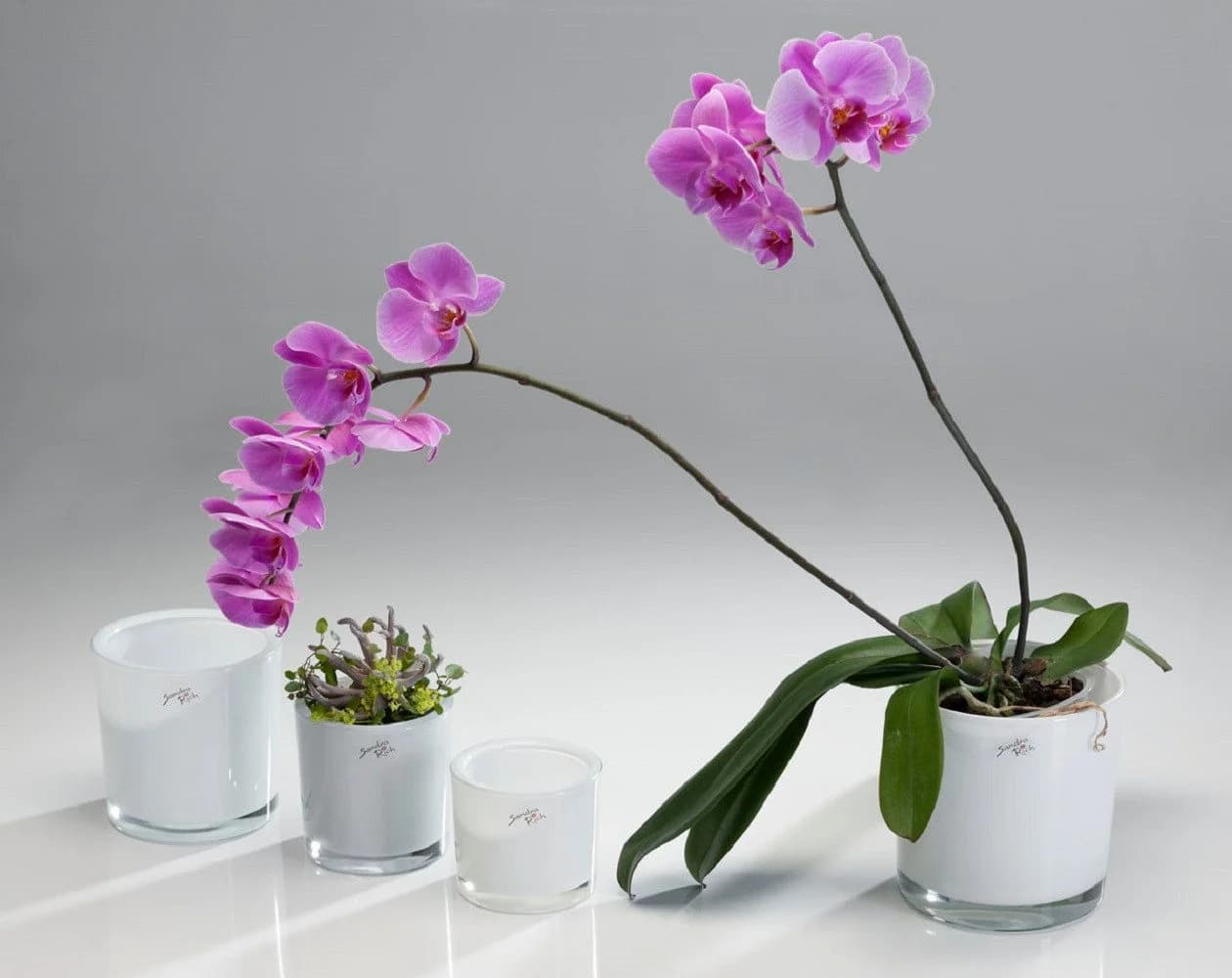 Sandra Rich Glasübertopf Weiß