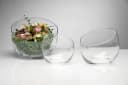 Sandra Rich Dekoschale Bexa Transparent Glas Bild 1
