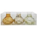 Sandra Rich Glasvase 3er Set Gelb BOTTLE STRIPES Bild 2