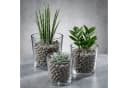 Sandra Rich Glastopf 14x14cm Transparent Windlicht Pflanztopf Bild 1