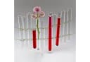 Sandra Rich Dekovase Reagenzglas Klarglas 19,8 cm Bild 1