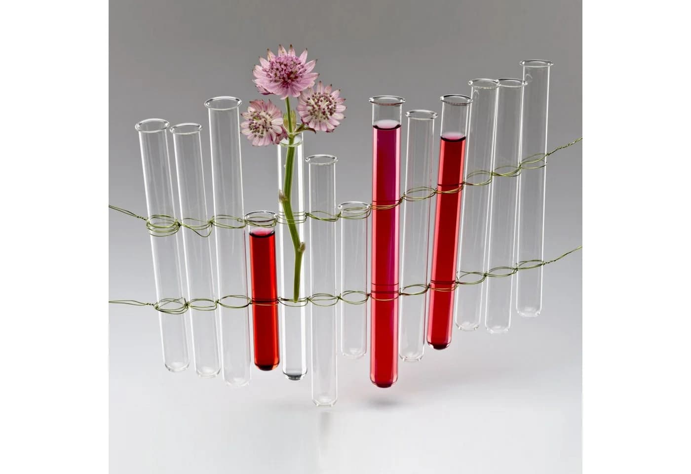 Sandra Rich Dekovase Reagenzglas Klarglas 19,8 cm