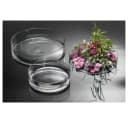 Sandra Rich Dekoschale Cora Transparent Glas Bild 1