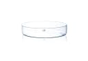 Sandra Rich Dekoschale Cora Transparent Glas Bild 2