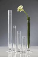 Sandra Rich Dekovase Solifleur Glas Bild 1