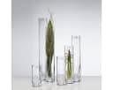 Sandra Rich Solifleur Glasvase 4x26cm Bild 1