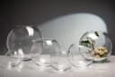 Sandra Rich Dekovase Glasvase Globe klar rund - cold cut Bild 1
