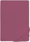 BIBERNA Spannbettlaken Thea Jersey Baumwolle Lila Bild 2