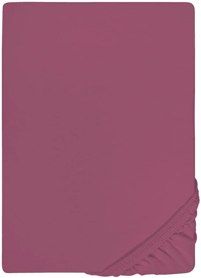 BIBERNA Spannbettlaken Thea Jersey Baumwolle Lila - Bild 2