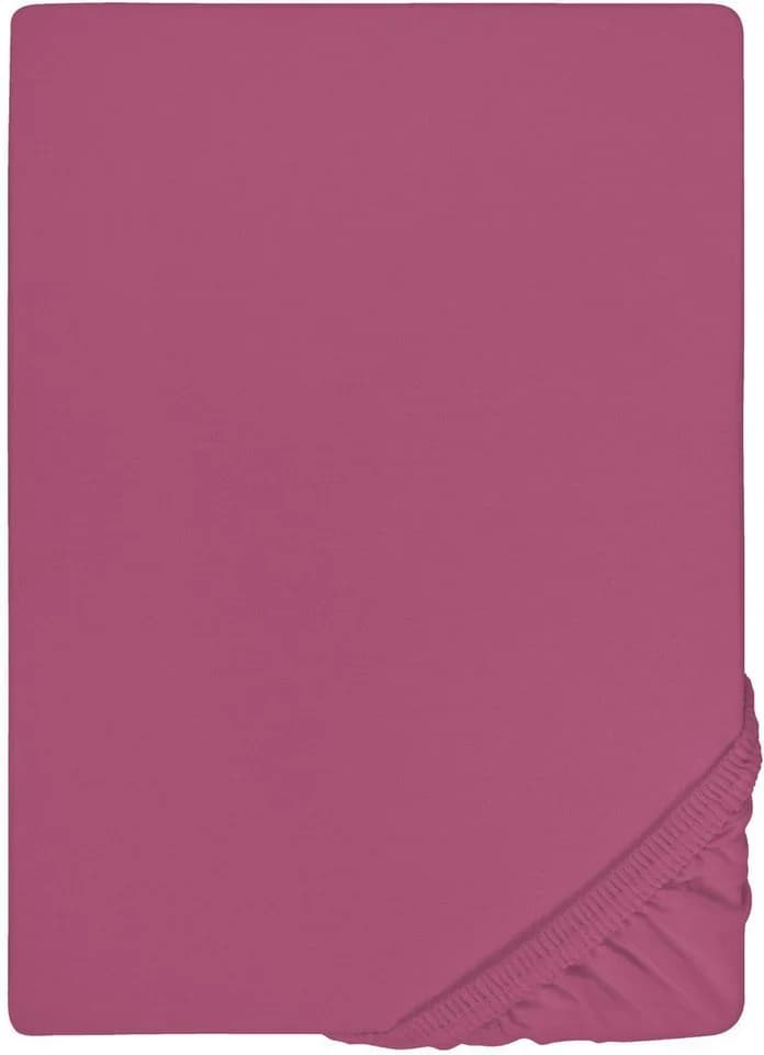 Biberna Spannbettlaken Marc Jersey 100% Baumwolle Brombeer - Bild 3