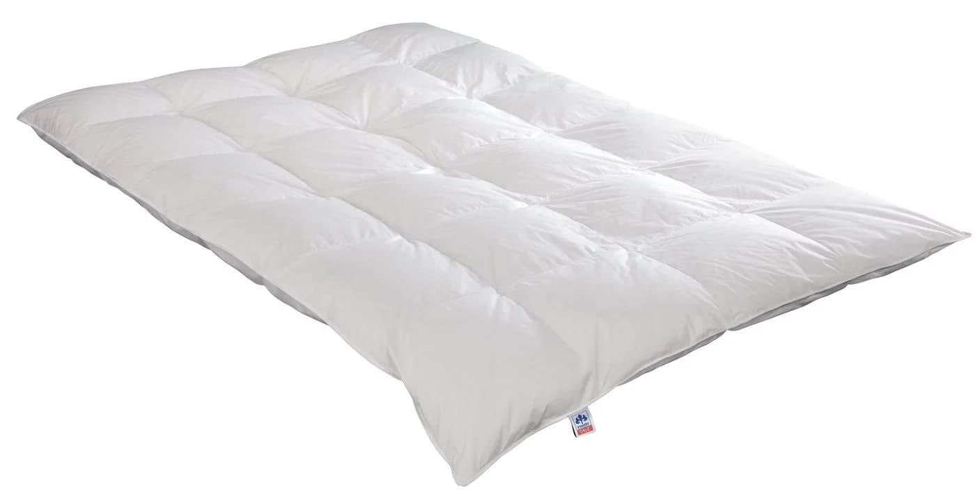 Irisette Sale Daunenbettdecke Nora Extra Warm 100% Daunen Baumwolle - Bild 2