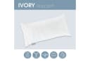 Schlaraffia Kopfkissen IVORY 100% Baumwolle Polyester-Hohlfaser Bild 3