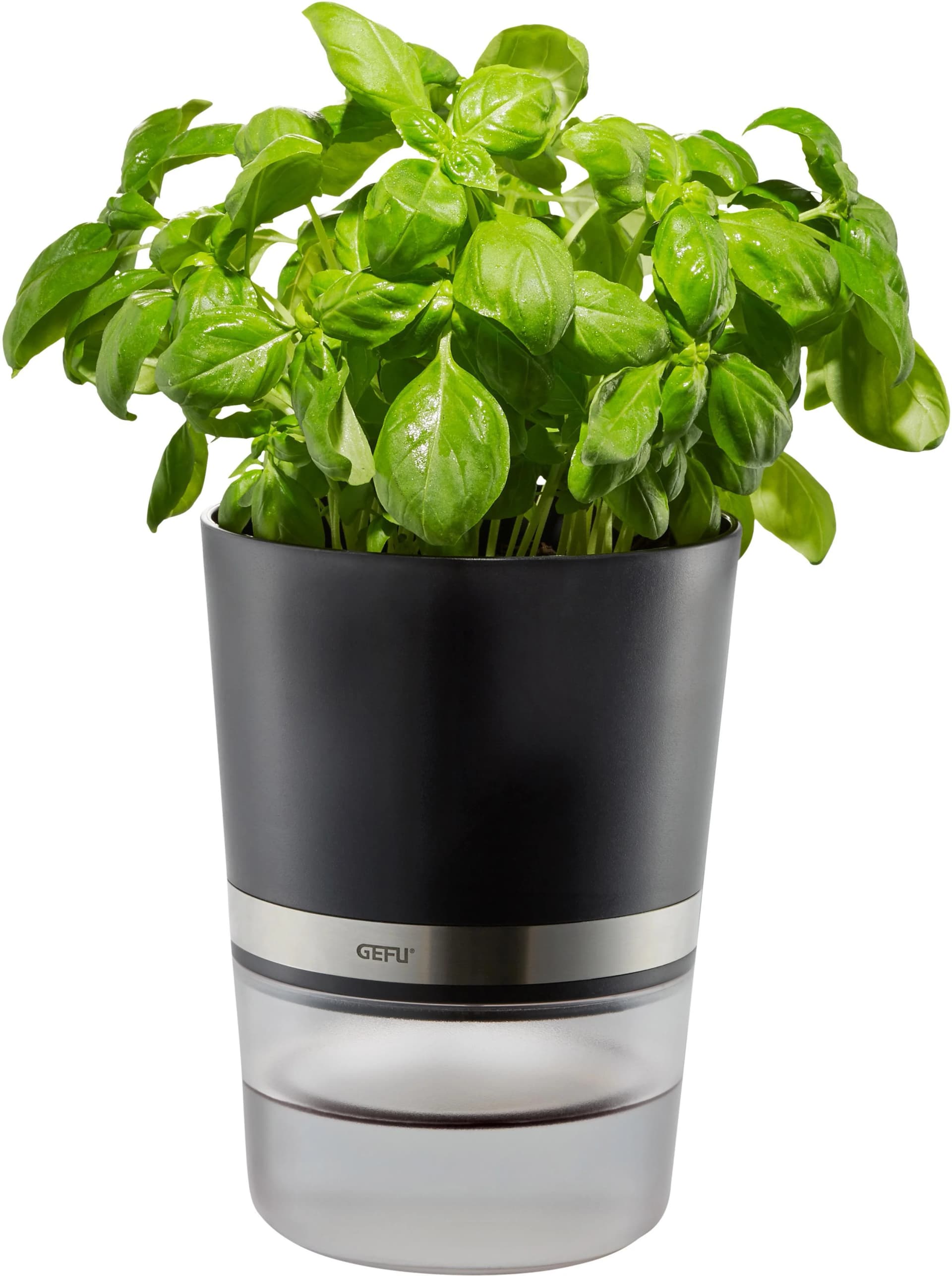 GEFU Kräutertopf Botanico mit Selbstbewässerungssystem - Bild 4