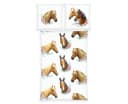 Herding Young Collection Bettwäsche Pferd Renforcé Bunt Bild 1