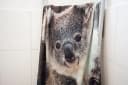 Flauschiges Handtuch mit Koala-Print Bild 4