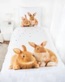 Herding Bettwäsche mit Kaninchen 135 x 200cm 100% Baumwolle Bild 1