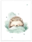 Babydecke Babybest Kleiner Igel Bunt 100% Polyester Kuscheldecke Bild 2