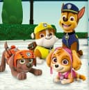 Herding Kinderbettwäsche 135x200cm Paw Patrol Hunde Polizei, Renforcé, 2 teilig, Chase, Marshall, Skye, Rubble, Zuma und Everest, mit Knopfleiste Bild 4