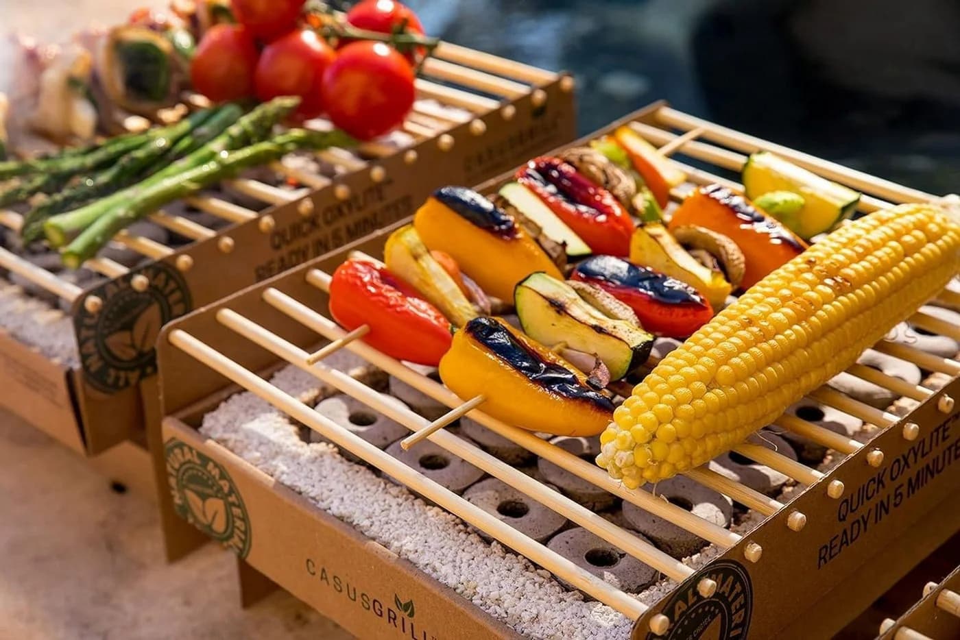 Casusgrill Einweg-Holzkohlegrill Mini-Grill biologisch abbaubar