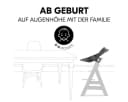 HAUCK Alpha Bouncer Premium Babywippe Dunkelgrau mit Wippgestell Bild 5