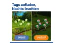 MAXIMEX LED Gartenleuchte Pusteblume Solar Bild 4