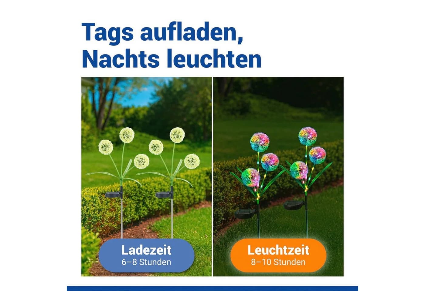 MAXIMEX LED Gartenleuchte Pusteblume Solar - Bild 4