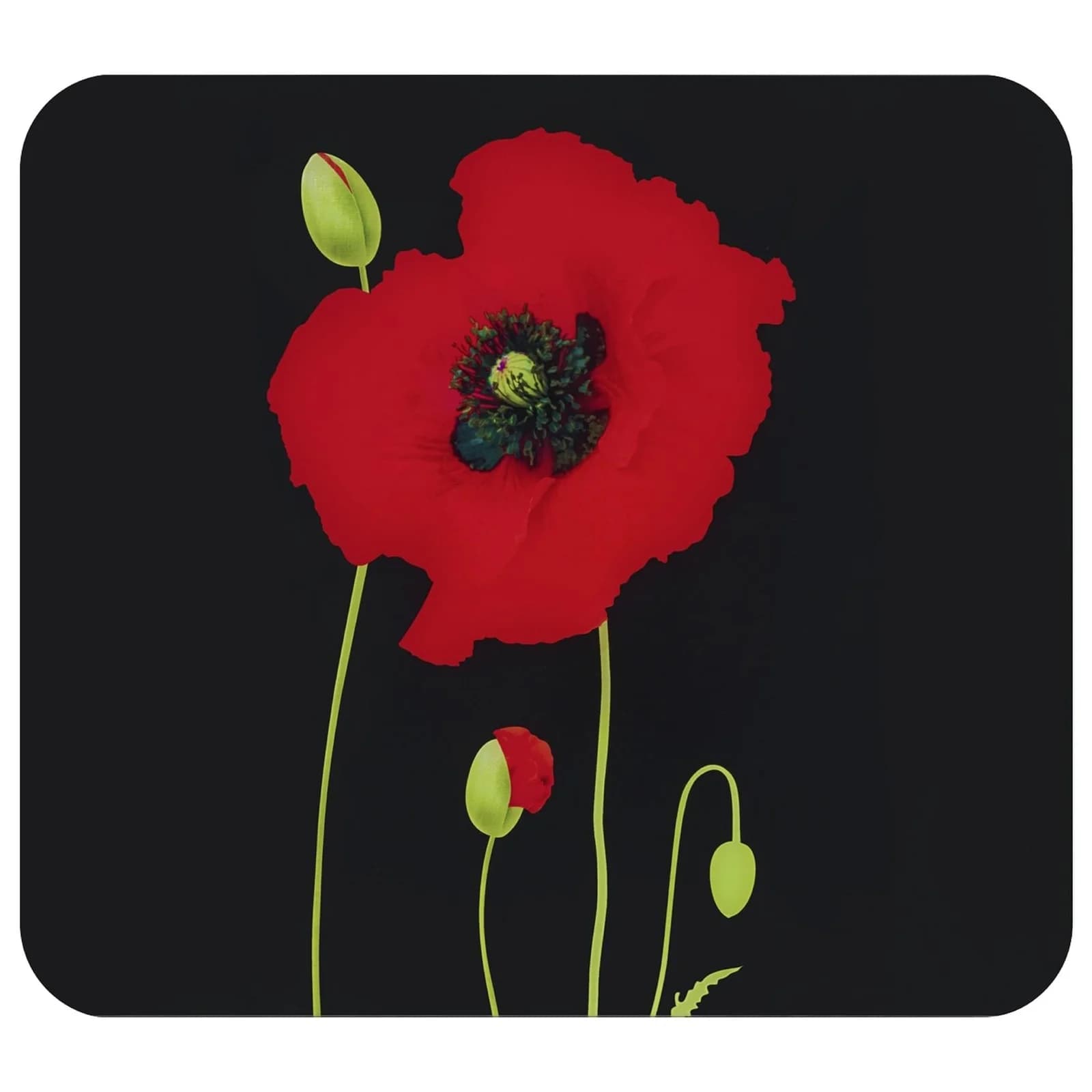 Maximex Multiplatte Mod. Mohn Spritzschutz Schneidbrett