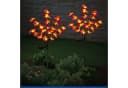 MAXIMEX LED Gartenleuchte Modell Orchidee Solar Bunt Bild 1
