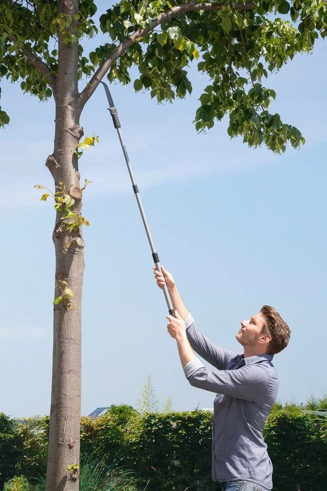 Maximex 2in1 Gartensäge mit Teleskopstiel bis 342 cm