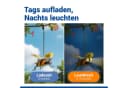 Maximex LED Gartenleuchte Modell Biene Solar Warmweiß Bild 3