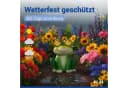 Maximex LED Dekofigur Frosch Solar Gartenfigur Blinky Eyes Bild 5