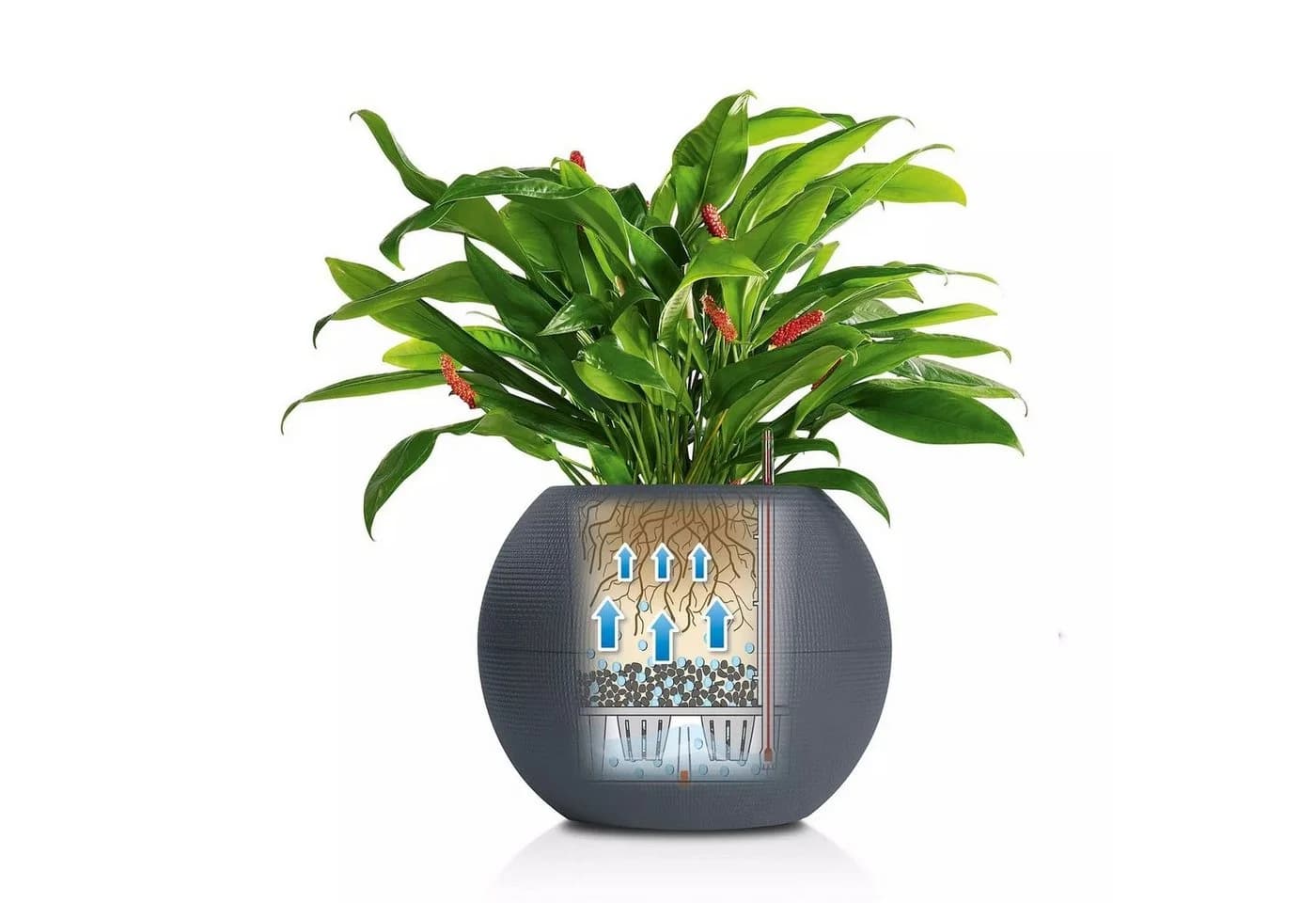 Lechuza® Blumentopf Puro Color 50 Komplett weiß - Bild 5