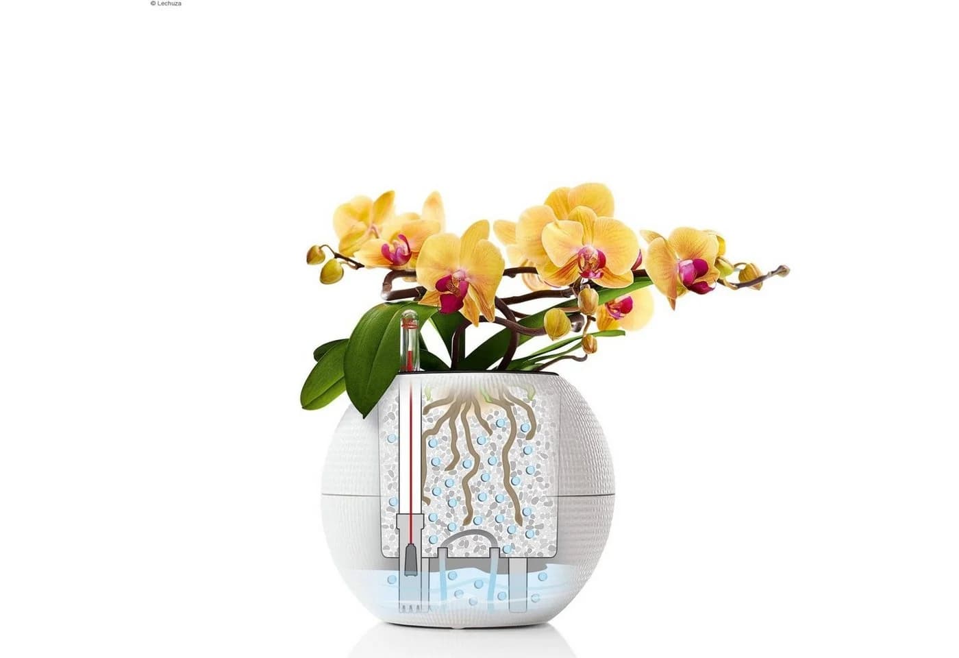 Lechuza® Blumentopf Pflanztopf Puro Color 20 Sandbraun - Bild 5